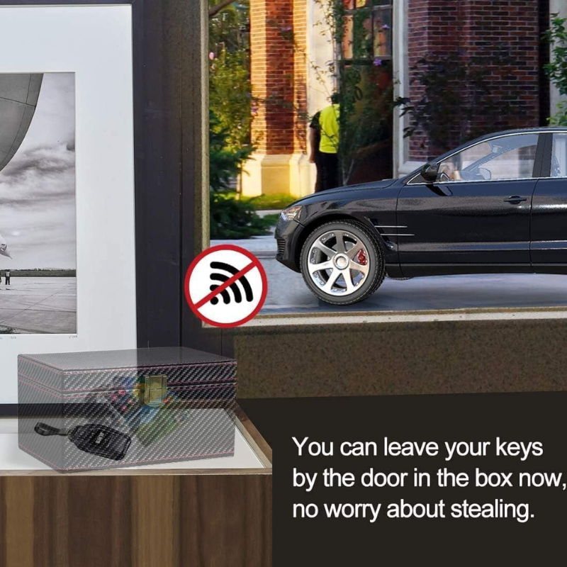 DriveShield™ SignalLock Box